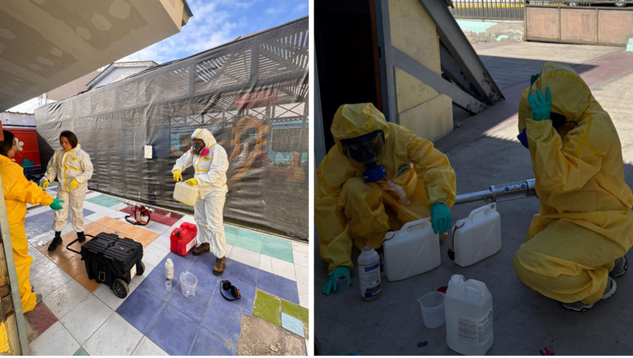 /local/alerta-sanitaria-en-tocopilla-por-presencia-de-mosquito-aedes-aegypti