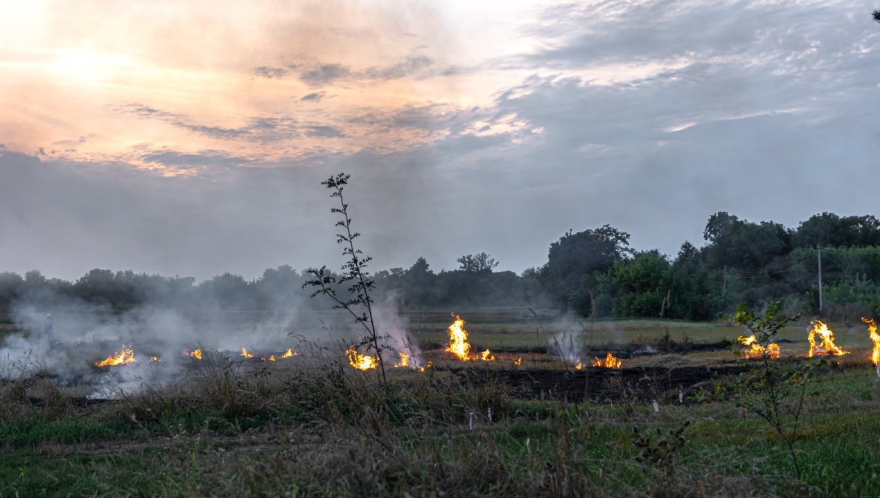 /salud-maule-alerta-por-riesgos-a-la-salud-por-incendios