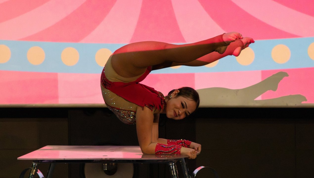 /circo-de-tradicion-familiar-en-chile-es-reconocido-como-patrimonio