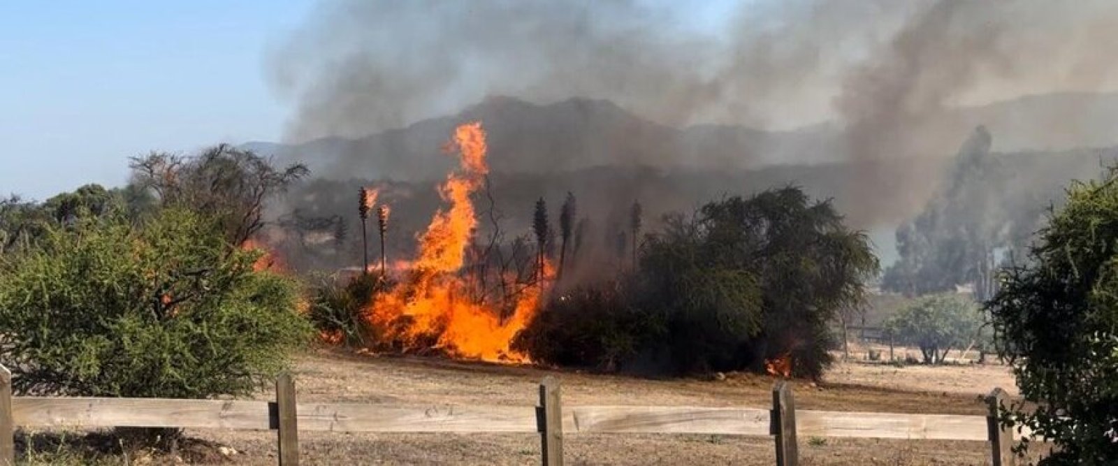 Van más de mil hectáreas consumidas en la zona central