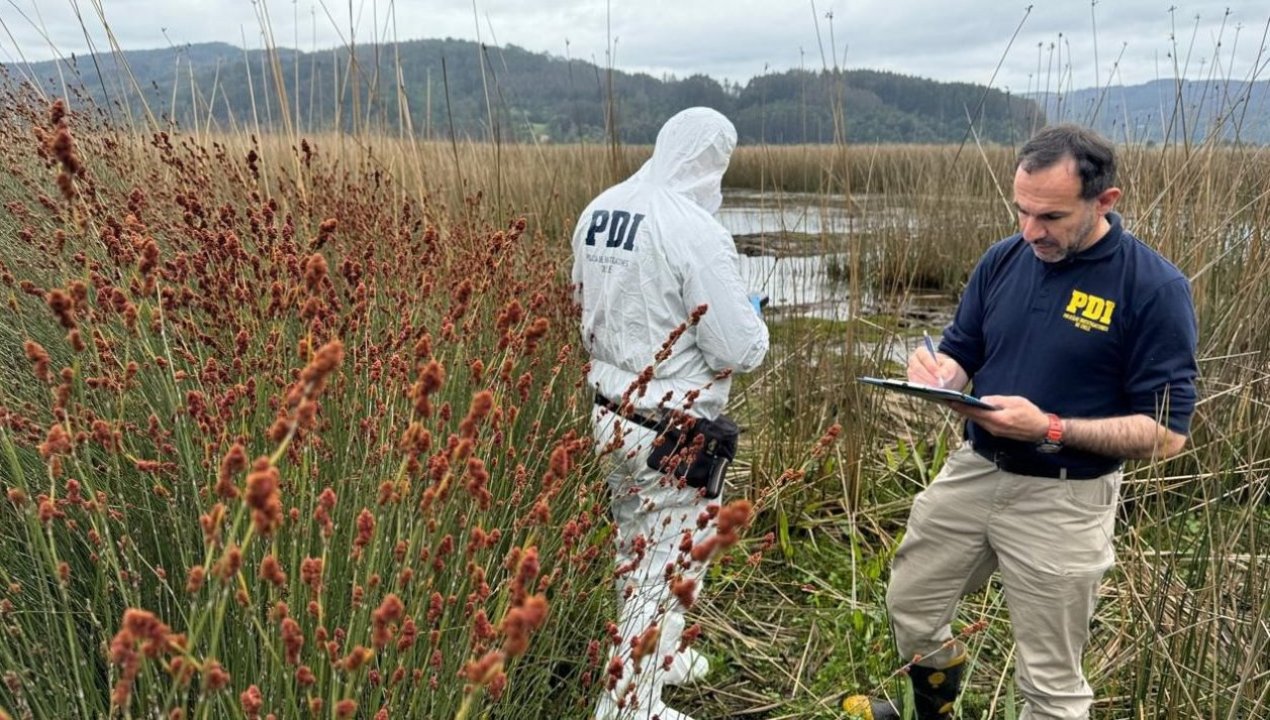 /regionales/region-de-los-rios/valdivia-formalizan-a-sujetos-por-verter-aguas-servidas-en-santuario-de-la