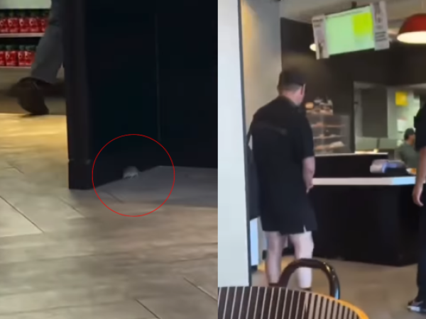 Ratón es captado al interior de local de McDonald’s en Iquique