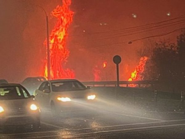 Denuncian saqueo del Hospital de Lirquén en medio de incendios forestales en el Biobío