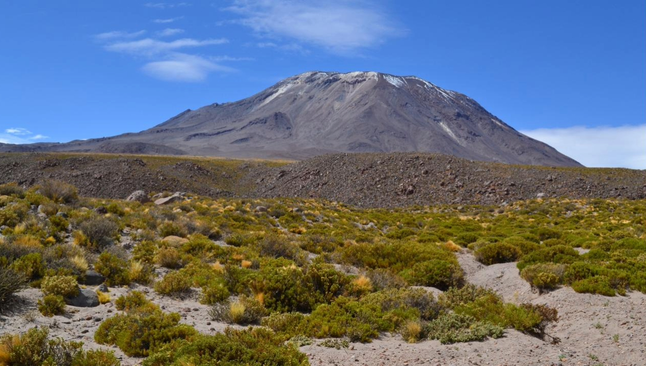/potencial-uso-de-bacteria-altiplanica-para-degradar-botellas-de-plasticos